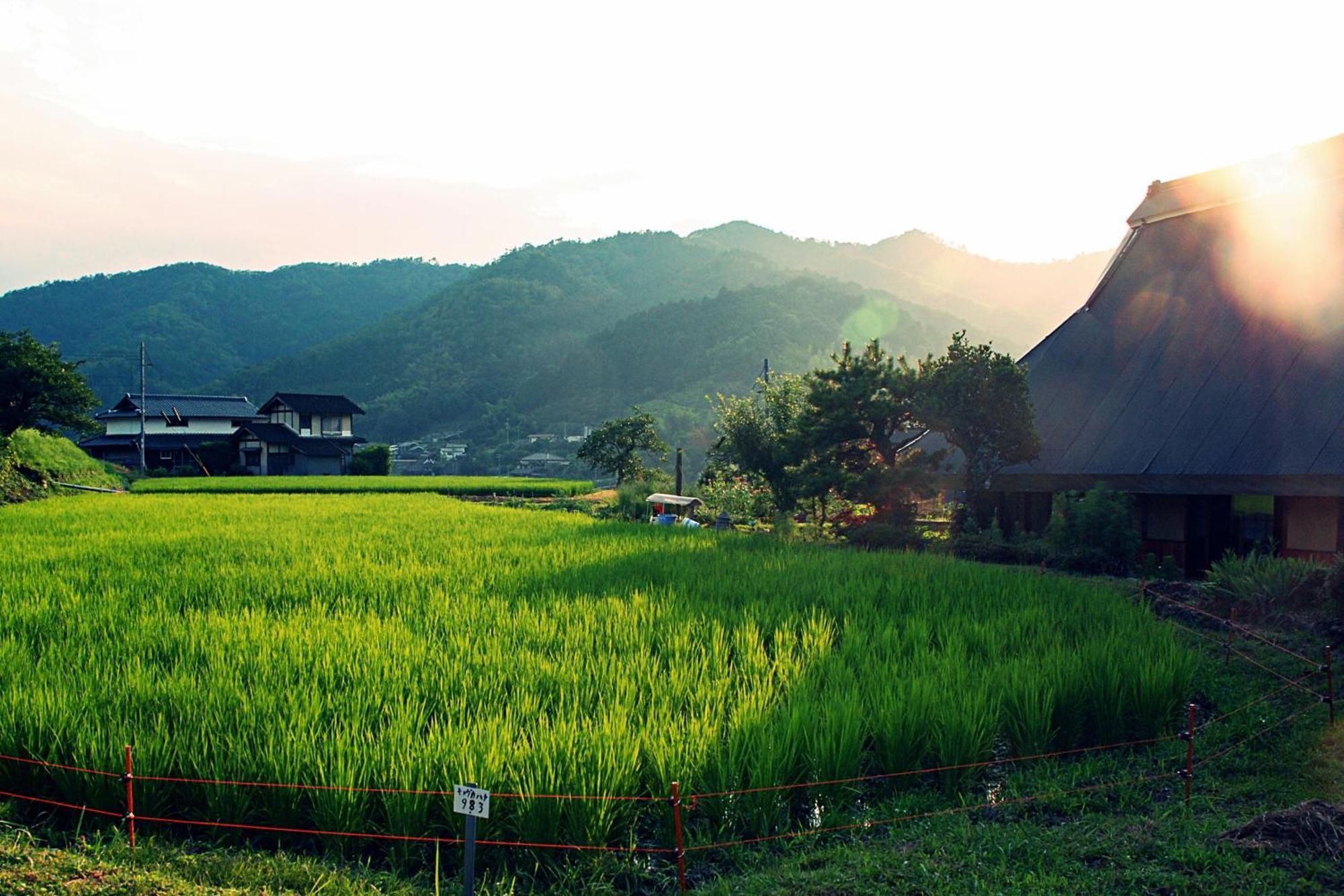 古民家の宿 ふるま家 Furumaya House Gastronomic Farmstay In Deep Kyoto Fukuchiyama Luaran gambar